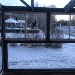 Winter garden