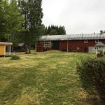 Wiesen